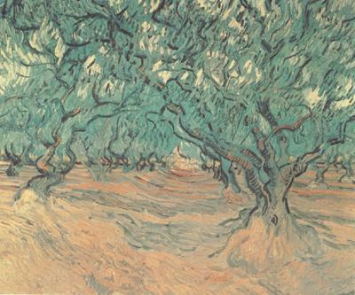 Vincent Van Gogh Olive Trees (nn04) Germany oil painting art